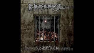 Disgorge Mex  Necrholocaust Full Album [upl. by Hestia]