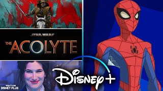 Multiple Sony Titles Removed From Disney Globally  2024 Disney Preview  Disney Plus News [upl. by Tenn]