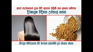 දීර්ඝායුෂ විඳින්න උළුහාල්  Fenugreek seeds for rejuvenation [upl. by Ramso874]