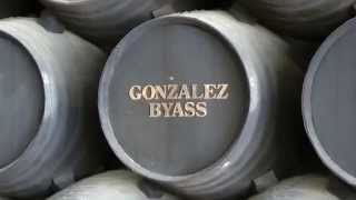 Cellar Tour Bodegas Gonzalez Byass Jerez Spain [upl. by Ansaev]