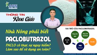 APN  PACLOBUTRAZOL CÓ THẬT SỰ NGUY HIỂM LÀM SAO ĐỂ SỬ DỤNG AN TOÀN [upl. by Zach]