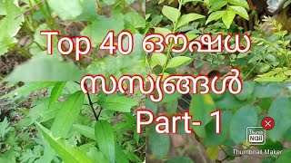 Medicinal Plants Herbal Plants Around usAyurvedic plants name in English Malayalam [upl. by Odnumyar713]