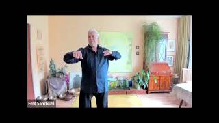 Lotus Hand Qigong [upl. by Neivad]