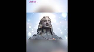 ThillaiAmbalaNataraja Shanschoice Bakthisongs Sivansongs [upl. by Acirederf]