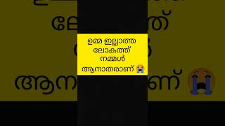 muhabath nabi ഉമ്മ ഇല്ലാത്ത ലോകത്ത് നമ്മൾ അനാതരാണ് [upl. by Nnylrebma982]