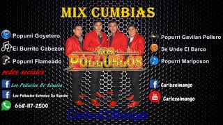 los polluelos de sinaloa mix cumbias exitos [upl. by Ayatnohs]