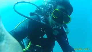 Diving Maldives [upl. by Bonni289]