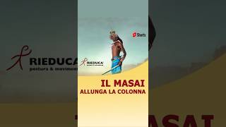 ALLUNGA LA COLONNA CON IL MASAI  SHORT mauriziocancedda metodorieduca masterposturologia [upl. by Enram965]