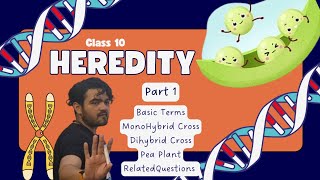 Class X Heredity Part 1 MonoDiHybrid Cross [upl. by Groark]