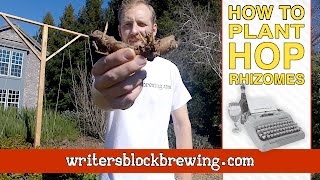 Planting Hop Rhizomes  How To Tutorial [upl. by Bernadette417]