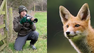 Wildlife Photography Tips and Tricks  How to Get CLOSE to Wildlife [upl. by Anilehcim]