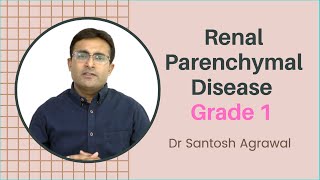 Renal Parenchymal Disease Grade 1 I Causes and treatment I Grade 1 Kidney Failure [upl. by Dian753]