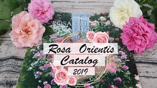 ROSA ORIENTIS CATALOG 2019 แค็ตตาล็อกกุหลาบค่ายดังของญี่ปุ่น [upl. by Gillett983]