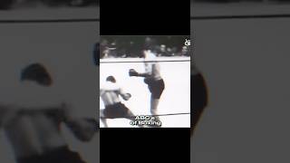 Max Schmeling  Devastating Right Hand 💣 [upl. by Wemolohtrab654]