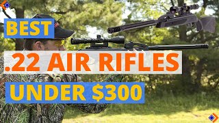 6 Best 22 Air Rifle 2024  Best Air Rifles Under 300 [upl. by Nylyak]