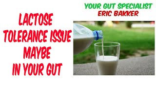 Lactose Tolerance Issue Maybe In Your Gut [upl. by Ludovico]