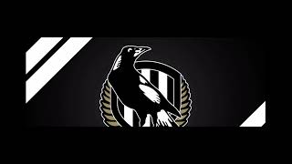 Collingwood Magpies AFL Theme Song Episode 10 collingwoodmagpies afl [upl. by Shutz]