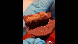 Girl Finds Several Maggots Infesting Her Reeses Peanut Butter Cup [upl. by Leopold326]