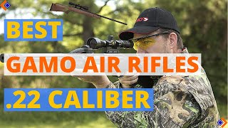 6 Best Gamo Air Rifle 22 Caliber  Best Air Rifles 2024 [upl. by Ahtabat]