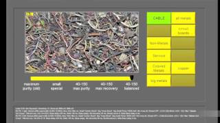 STEINERT KSS combination sensor sorter demonstration in US [upl. by Leissam623]