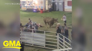 Bull rampage at Oregon rodeo [upl. by Anahir247]