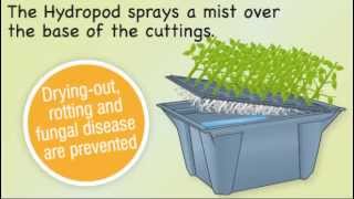 Hydropod Propagator  Grow More of Your Favourite Plants From Cuttings [upl. by Eico]