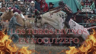 SEGUNDO DÍA DE JARIPEO EN SAN MIGUEL NOCUTZEPO CON LOS TOROS DIVINOS DE JUAN EL PROFETA DIAZ [upl. by Nebra]