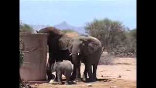 Damaraland Camp Namibia  © Abendsonne Afrika [upl. by Hebner228]