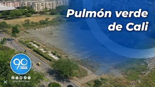 Parque de la 50 el nuevo proyecto ambiental de la Alcaldía de Cali [upl. by Dat872]