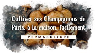 Cultiver ses Champignons de Paris à la maison facilement 🍄 [upl. by Lebanna]