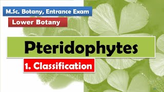 Classification  Pteridophytes [upl. by Phillane63]