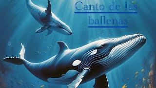 Sonido de ballenas  Canto de ballenas AudioTerapia [upl. by Stillmann]