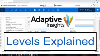 Levels Explained in Adaptive Insights [upl. by Winna]