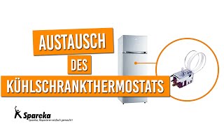 Anleitung für den Austausch des Kühlschrankthermostats [upl. by Schnapp]