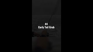 Master Surf Fishing with Curly Tail Grub Tips [upl. by Dolphin]