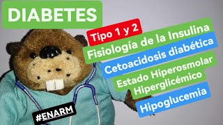 ✅✅DIABETES TIPO 1 Y 2  INSULINA  RESUMEN COMPLETO [upl. by Imer]