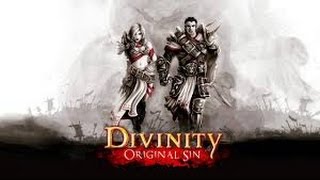 Divinity Original Sin Building a Rogue [upl. by Yecam482]