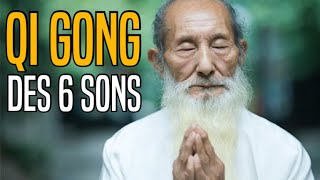 Qi Gong des 6 Sons pour la santé  Le son du Triple Réchauffeur [upl. by Eldnik140]