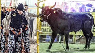 RANCHO BARRIGA CONTRA PURO JINETAZO HIDALGUENSE  Se prendio el publico en Santiago de Anaya Hgo [upl. by Priscilla]