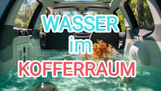 VW Tiguan Wasser im Kofferraum [upl. by Ricardo561]