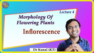 Inflorescence Morphology Of Flowering Plants I NEET I Dr Kunal Tatte KT [upl. by Avruch285]