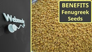 Health Benefits of Fenugreek Seeds [upl. by Inaleon]