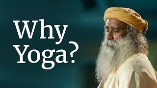 Why Yoga  Sadhguru [upl. by Anasxor957]