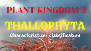 Thallophyta algal kingdom characteristics amp classification in detail [upl. by Seravart]