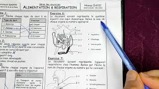 تصحيح فرض شامل مع الشرح lalimentation et la respiration [upl. by Lanevuj]