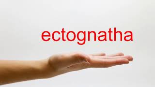 How to Pronounce ectognatha  American English [upl. by Aed]