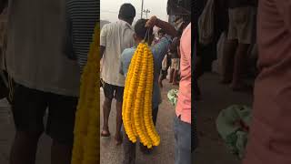 Mallick Ghat amp Flower Market 🌼🌸 namitaskitchenandvlog kolkata flowermarket howrah shortvideos [upl. by Romanas]