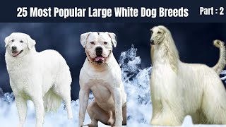 Unveiling Elegance of the 25 Most Popular Large White Dog Breeds 🌟 More Majestic Canines I Part 2 [upl. by Iggep]