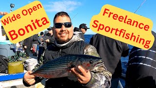 Part 1 Wide Open Bonita Bite Catalina Island Freelance Sportfishing Daveys Locker Newport Landing [upl. by Harrod53]