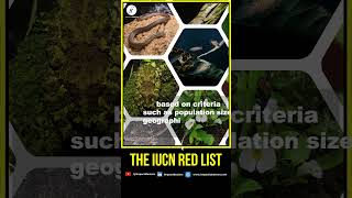 WHAT IS THE IUCN Red List [upl. by Sherman]